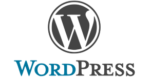 Preguntas sobre CMS WordPress