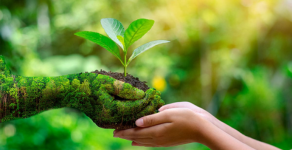 Preguntas sobre el cuido del medio ambiente