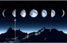 Imagen de la respuesta